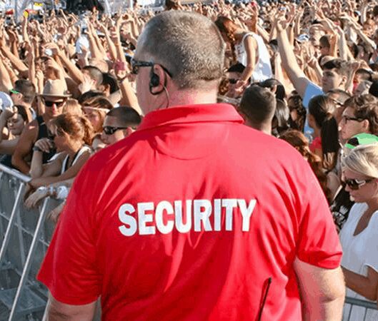 festival security to stop theft